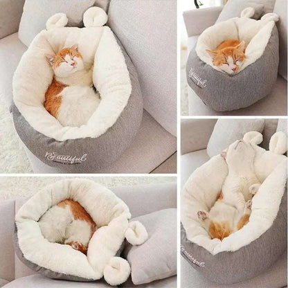 Chat dans un lit douillet en coton pour chat