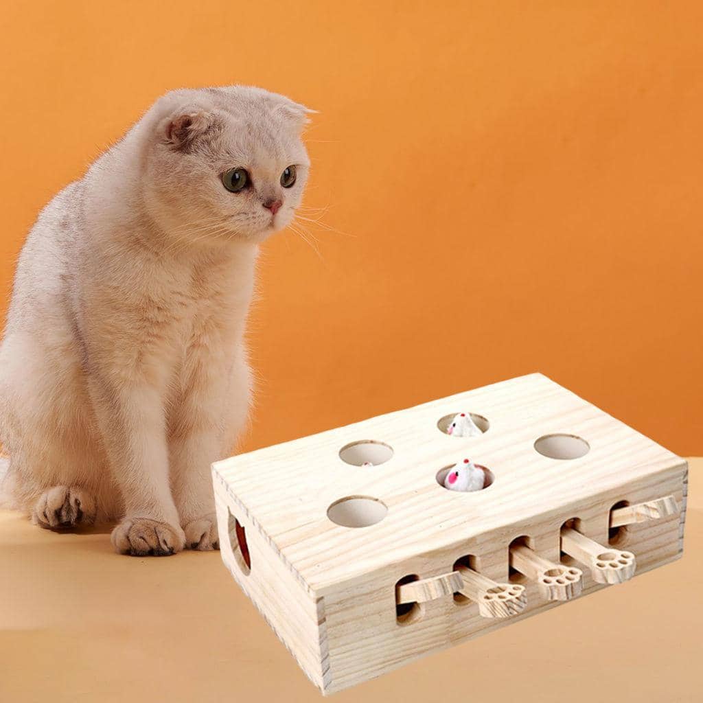 Chat qui joue avec un puzzle de chasse en bois à 5 trous pour chat