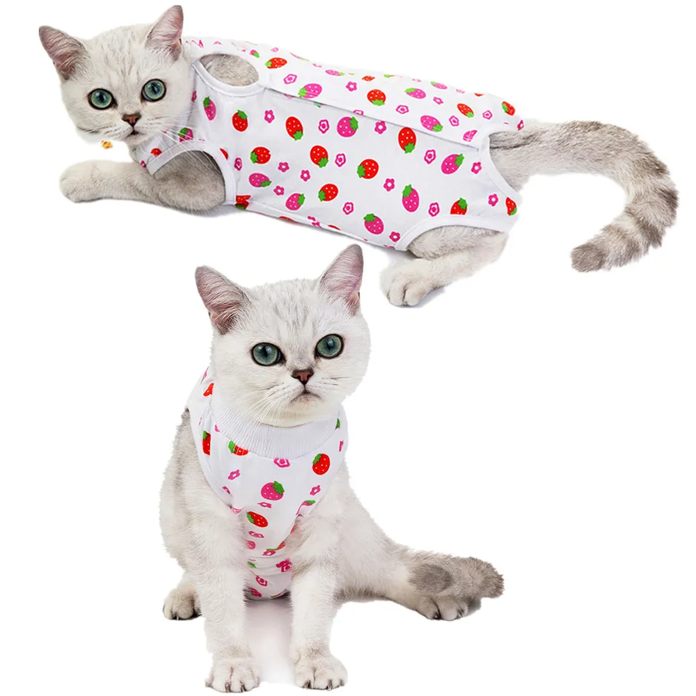 Vêtement anti-léchage pour chat - fraises