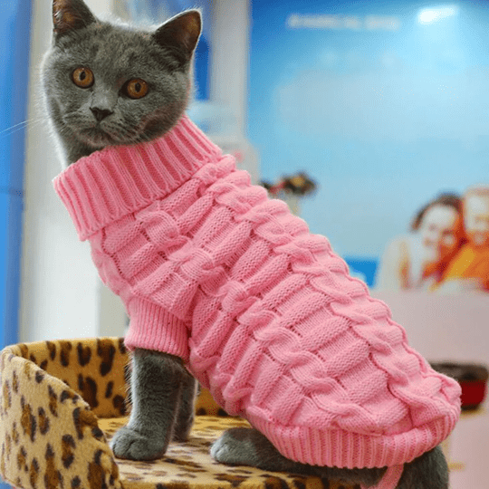 Pull tricoté pour chien et chat