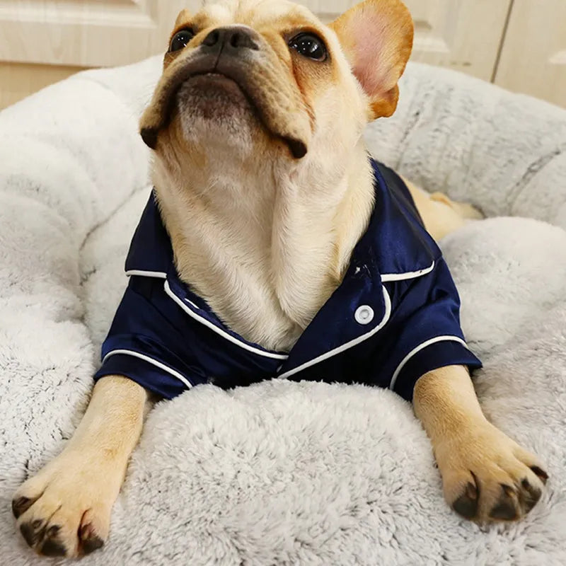 Pyjama en soie bleu pour chien