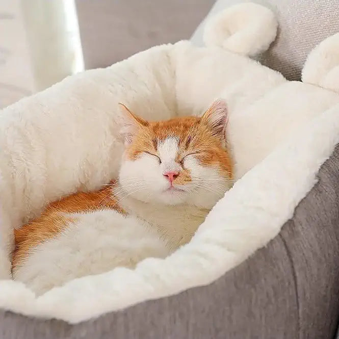 Chat qui dort dans un lit douillet en coton pour chat