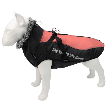 Veste imperméable rouge pour chien
