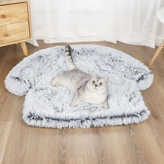 Chat sur un canapé-lit pour chien gris
