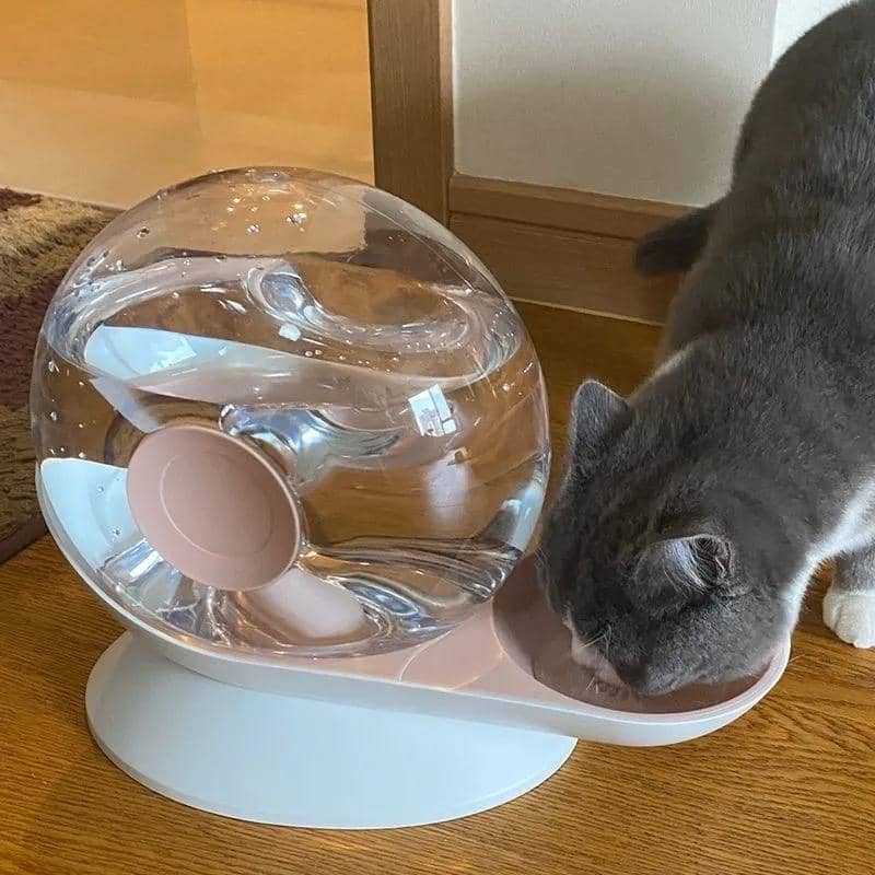 Chat qui boit dans une fontaine à eau en forme d'escargot pour chat