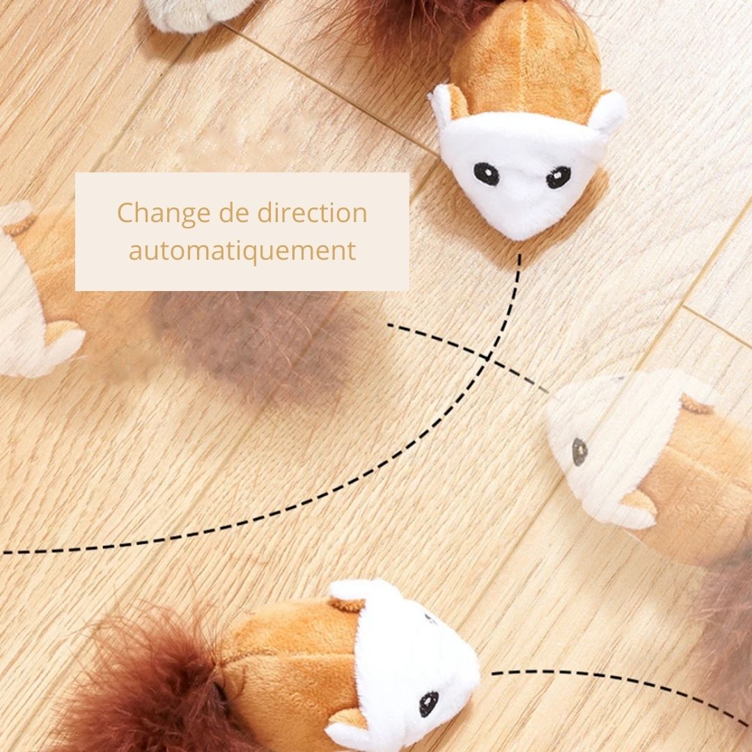 Spidi™ : Jouet souris interactive pour chat qui change de direction automatiquement