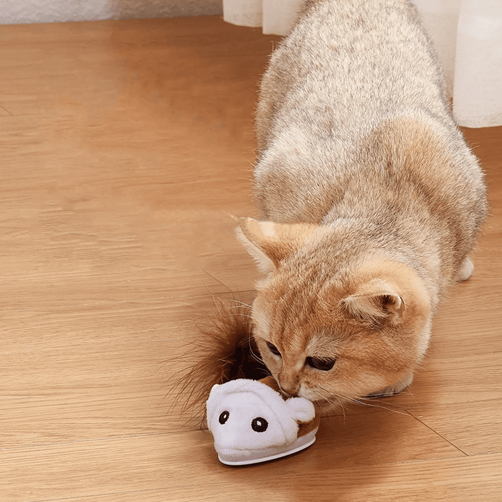 Spidi™ : Jouet souris interactive pour chat
