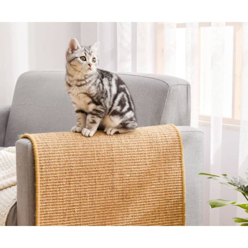 Chat sur un tapis griffoir pour chat