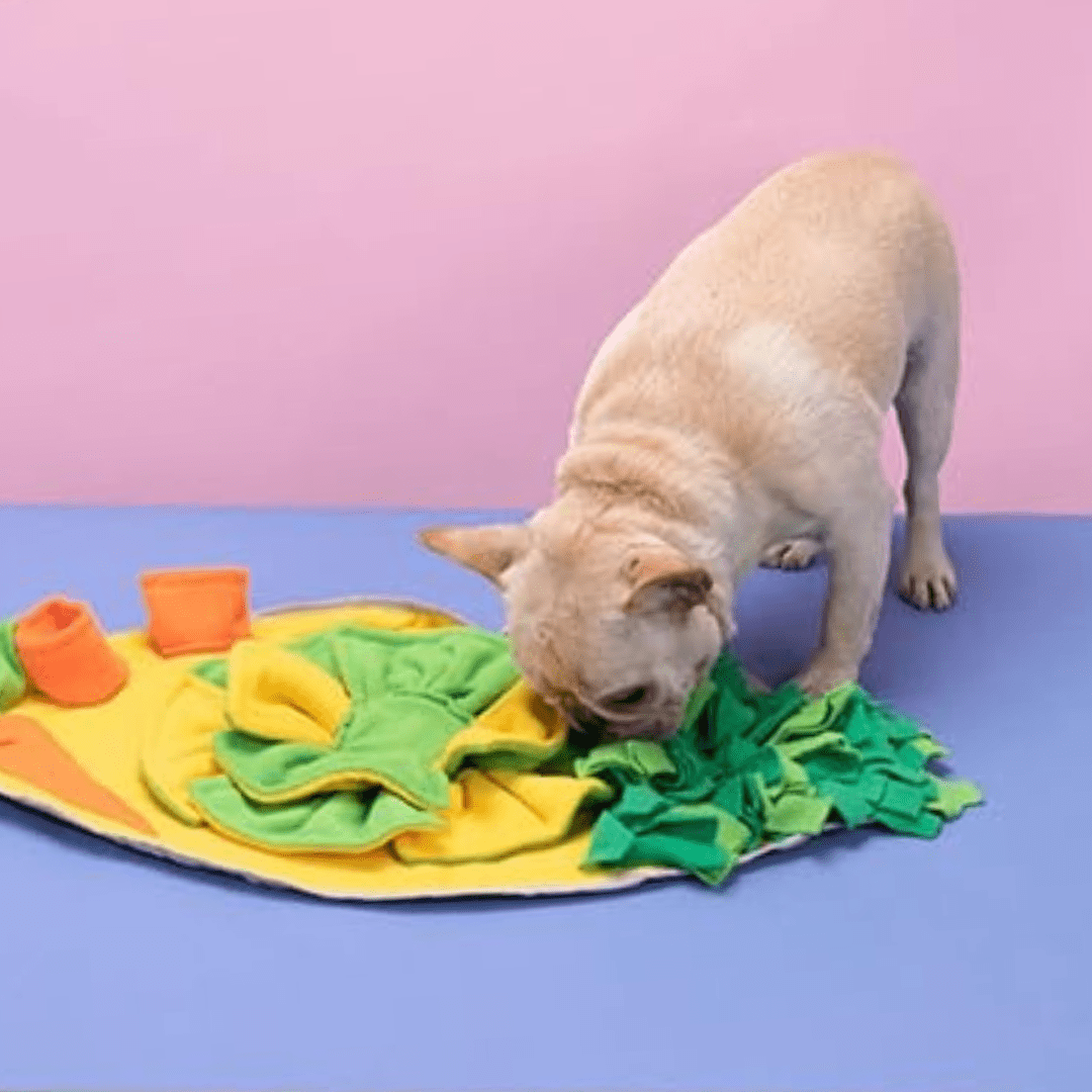 Tapis de fouille pour chien - Radis, qui renforce la stimulation sensorielle