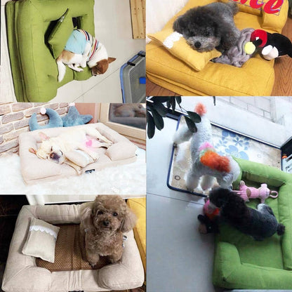 Photos clients du sofa pour chien et chat