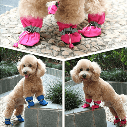 Chien avec nos chaussures imperméables pour chien