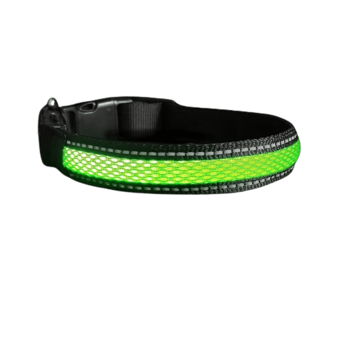 Collier vert en nylon avec lumière Led pour chien