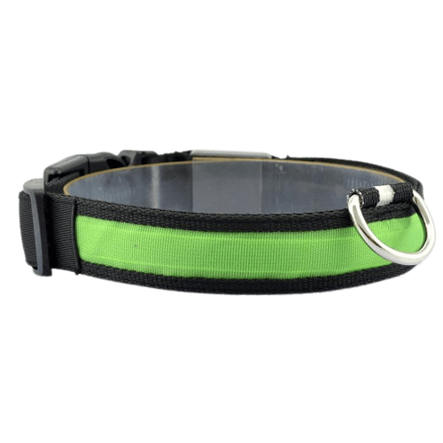 Collier lumineux LED vert  en nylon pour chien et chat