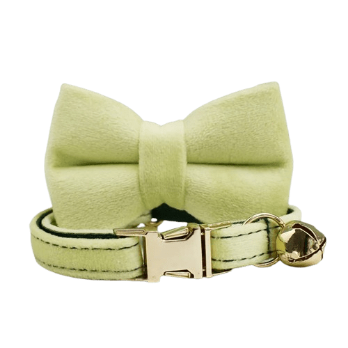 Collier vert clair en velours avec noeud pour chat