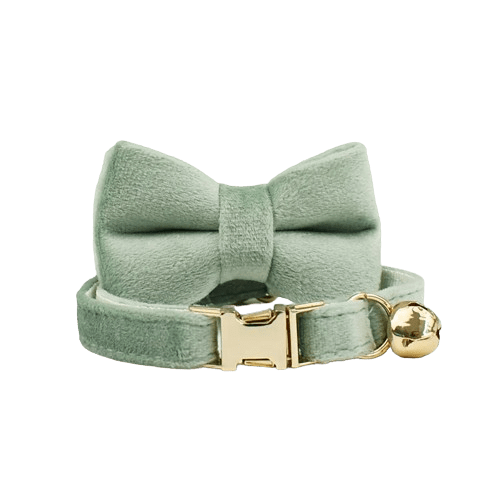 Collier vert pastel en velours avec noeud pour chat