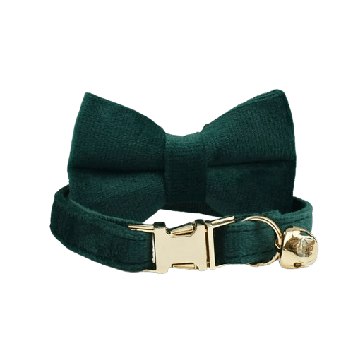 Collier vert sapin en velours avec noeud pour chat