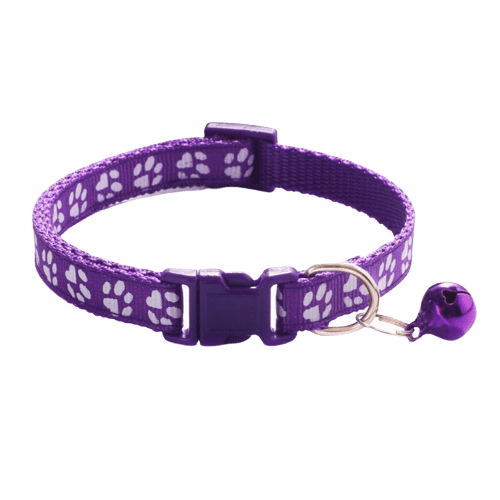 Collier violet avec clochette pour chat