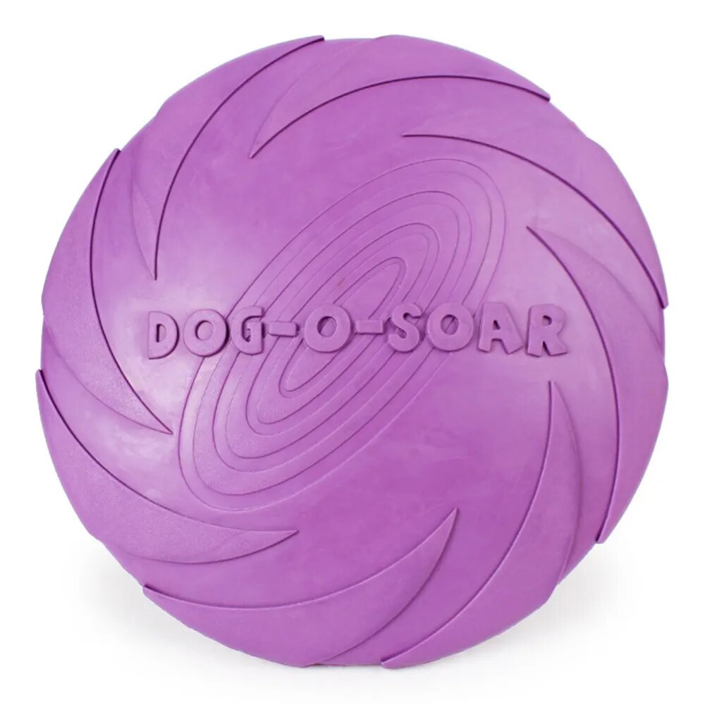 Frisbee violet pour chien