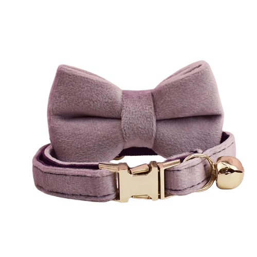 Collier en velours violet pour chat