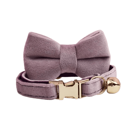 Collier en velours violet pour chat