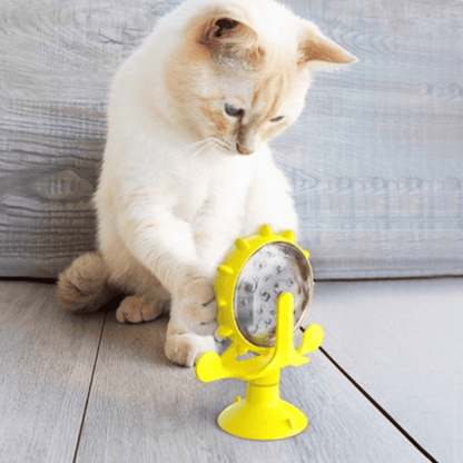 Chat avec une roue interactive à friandises