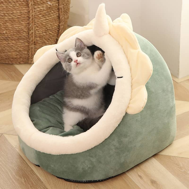 Chat dans un lit en forme de dinosaure