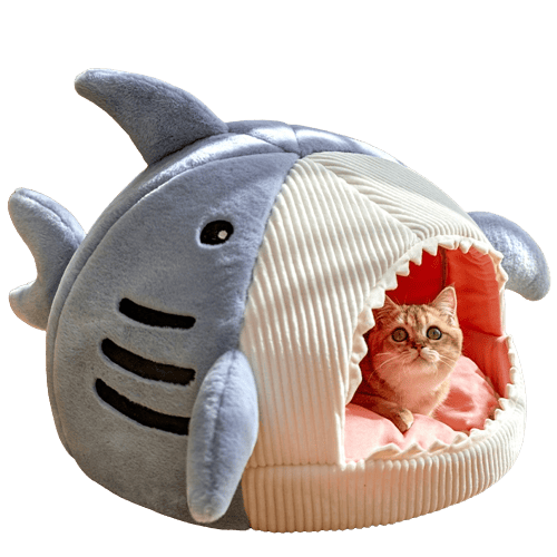 Chat dans un lit en forme de requin 