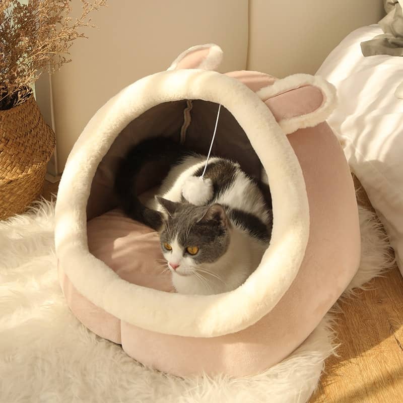 Chat dans un lit en forme de lapin