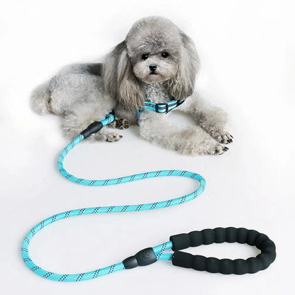 Laisse corde bleue en nylon pour chien