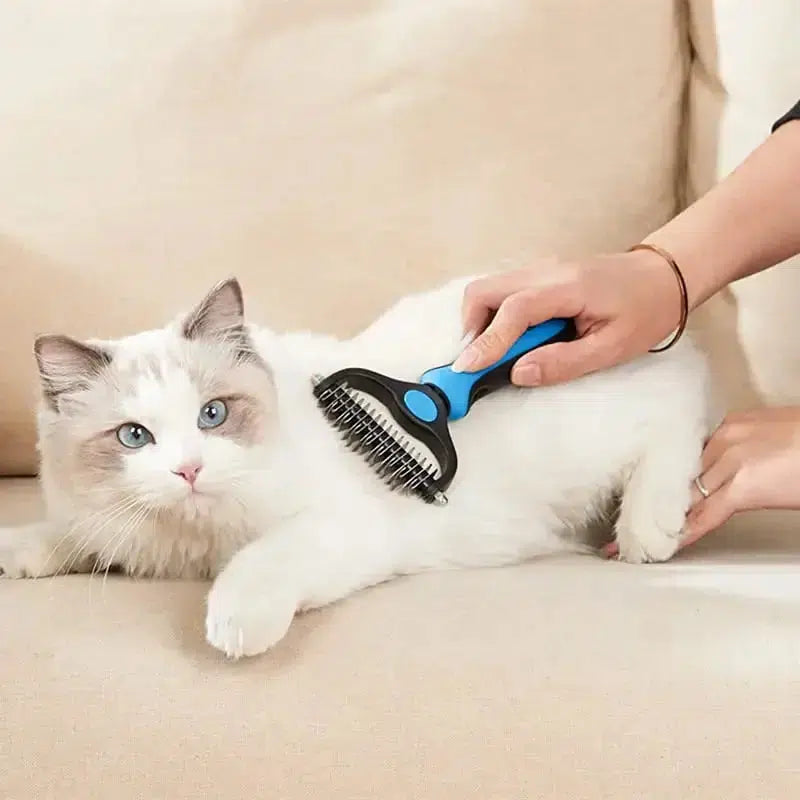 Brosse bleue pour chien et chat en utilisation sur un chat