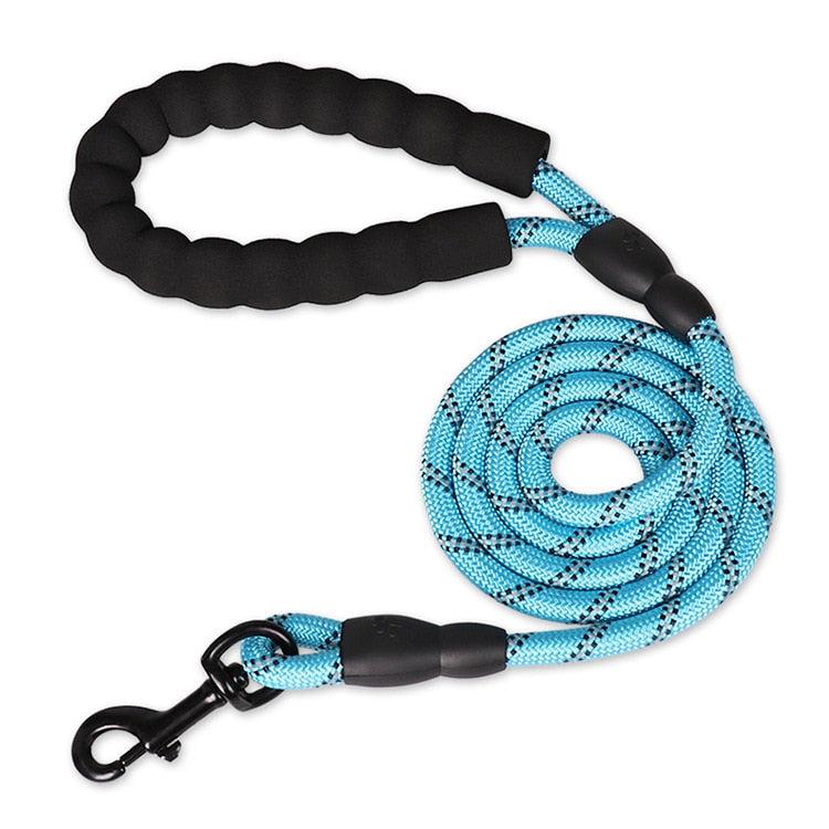 Laisse corde bleue en nylon pour chien
