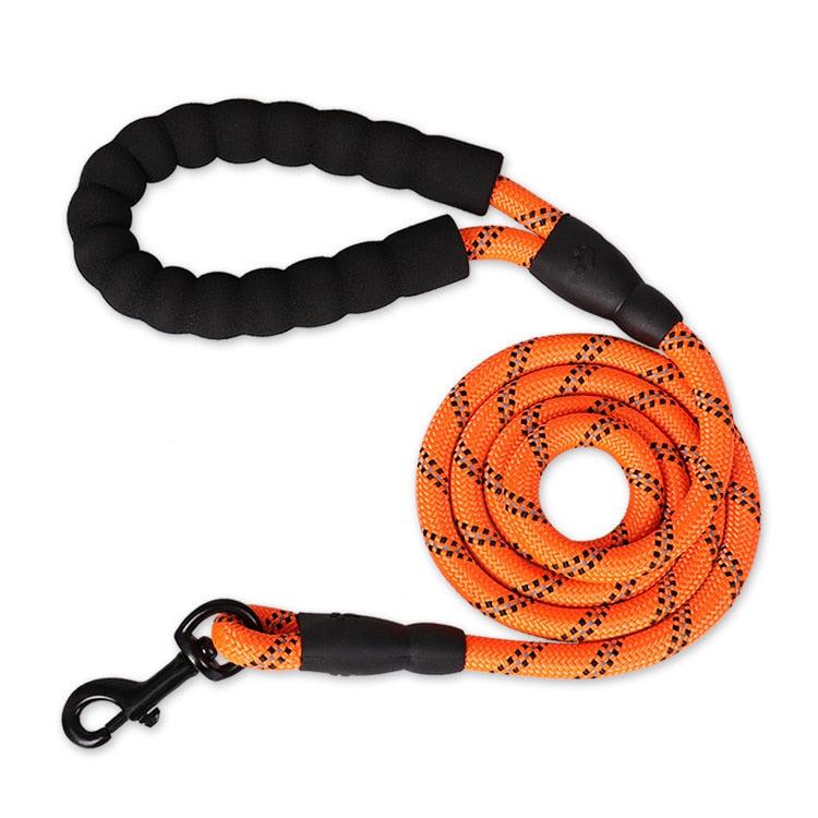 Laisse corde orange en nylon pour chien