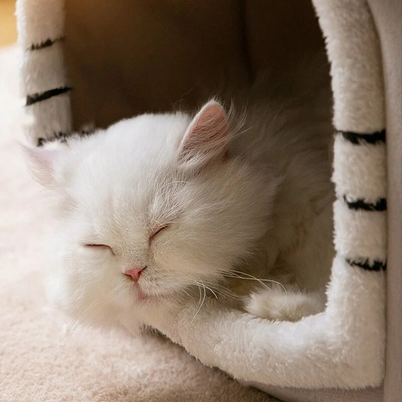 Chat faisant une sieste dans un lit maison pour chat