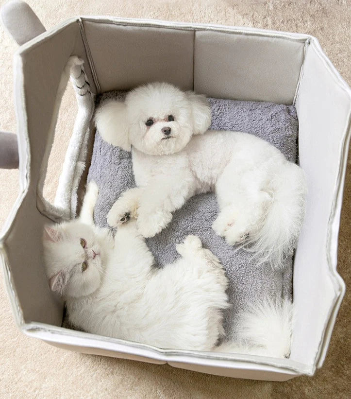 Chien et chat dans un lit maison pour chat